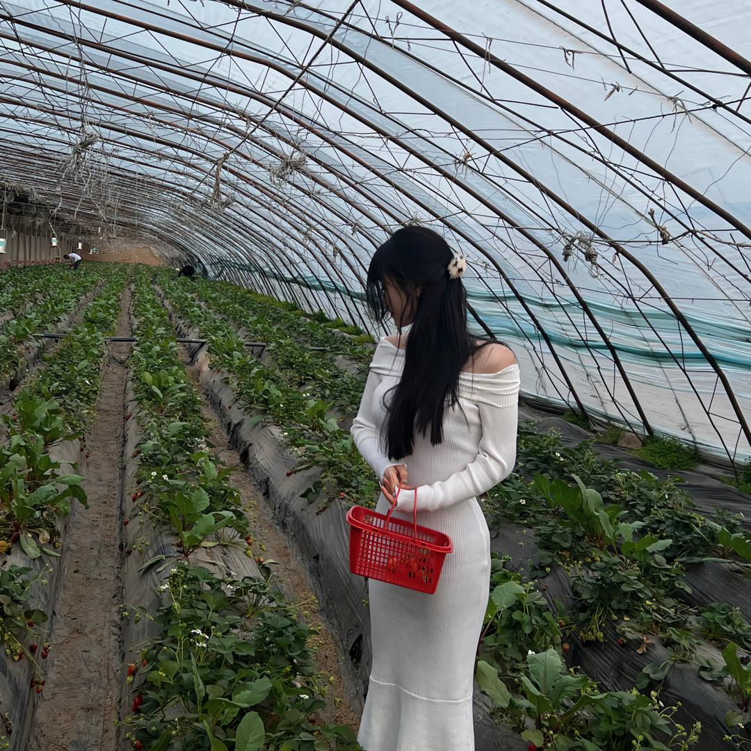 花开富贵.
