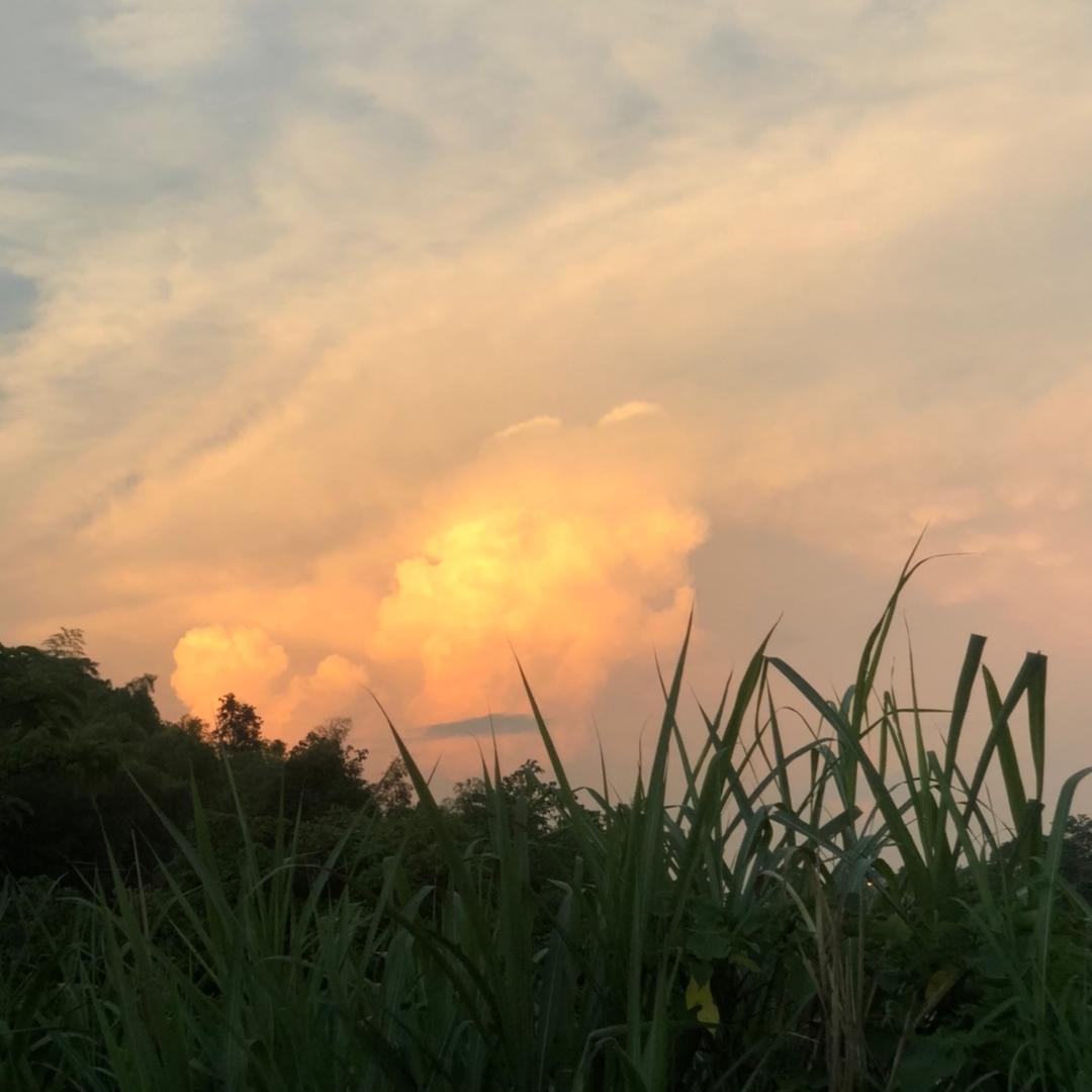 芳原万里