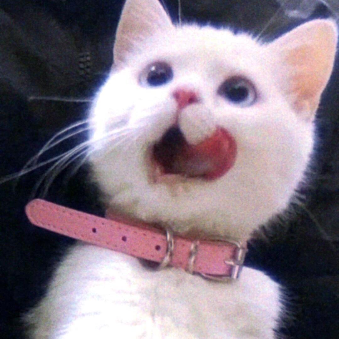 瓶瓶….