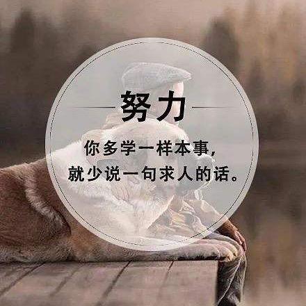 山东二手车批发