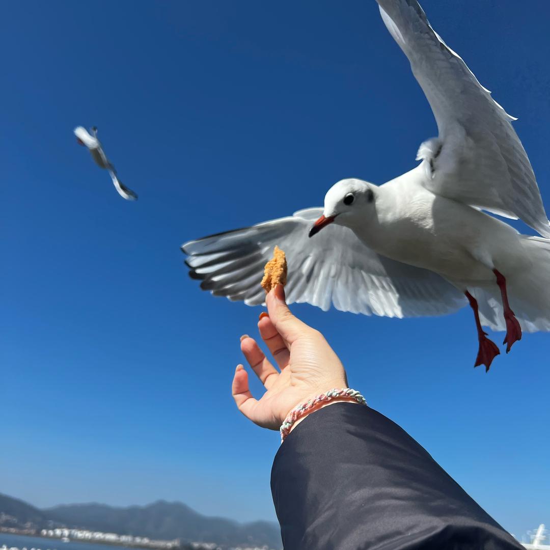 严梦