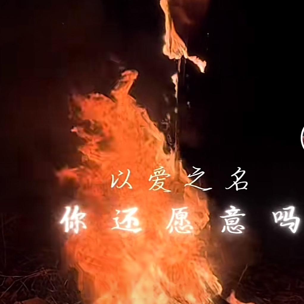 浩宇