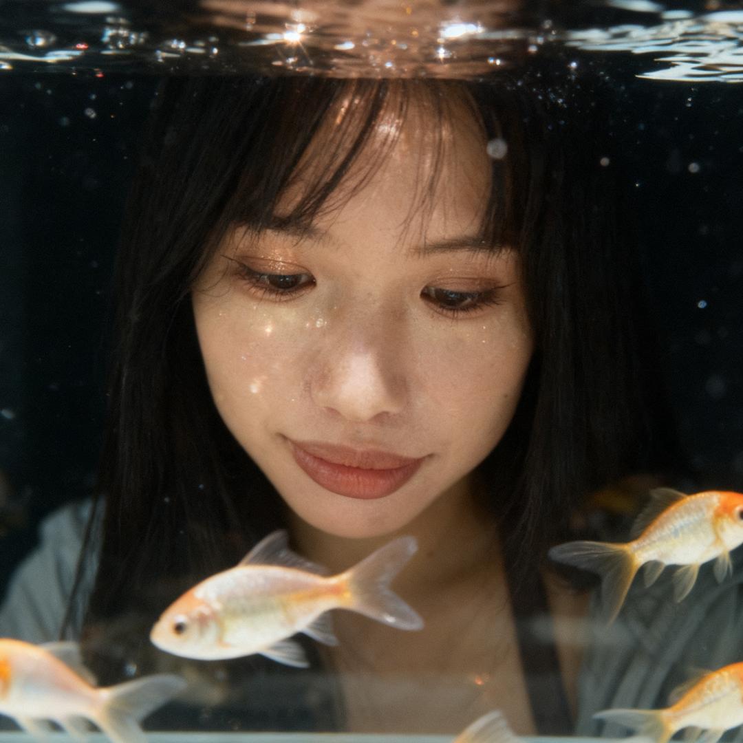 翘jio的猫