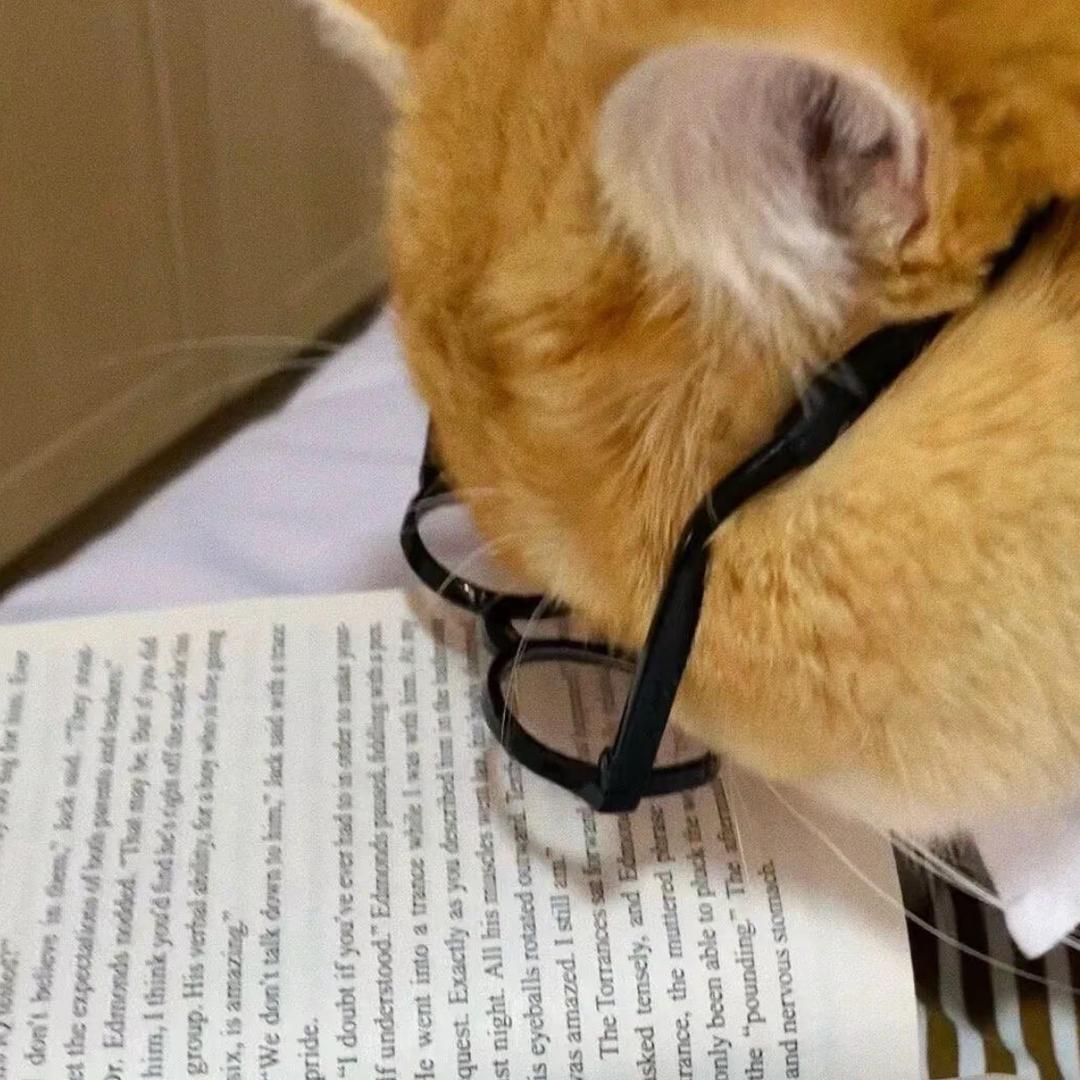 辽宁峰范单招|张老师