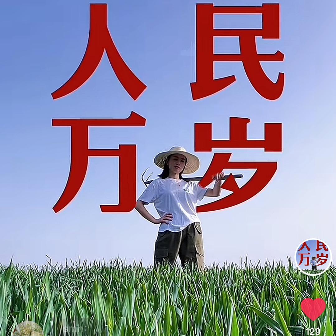 守望麦田