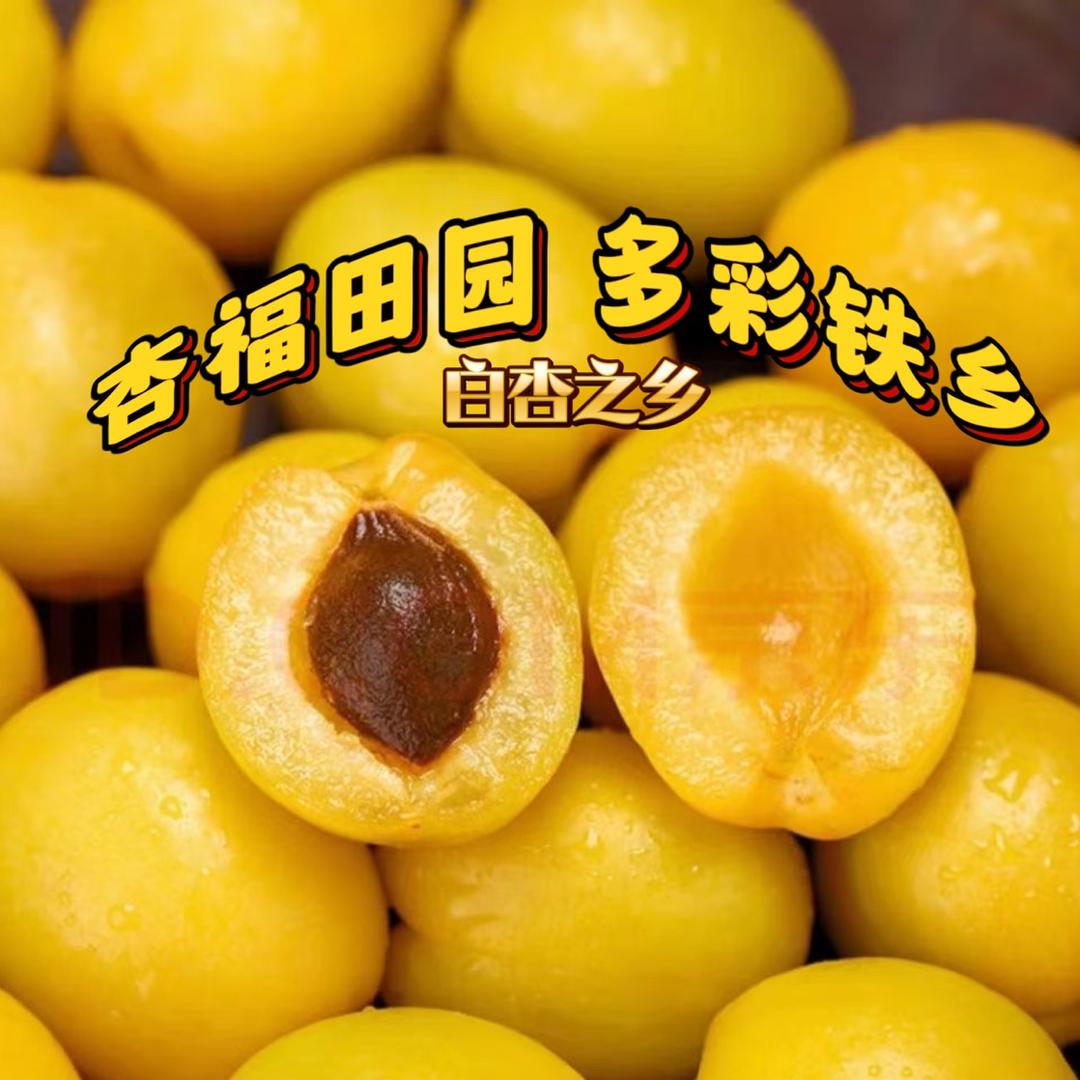铁热克巴扎乡人民政府