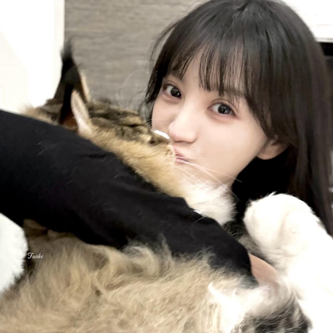 渔