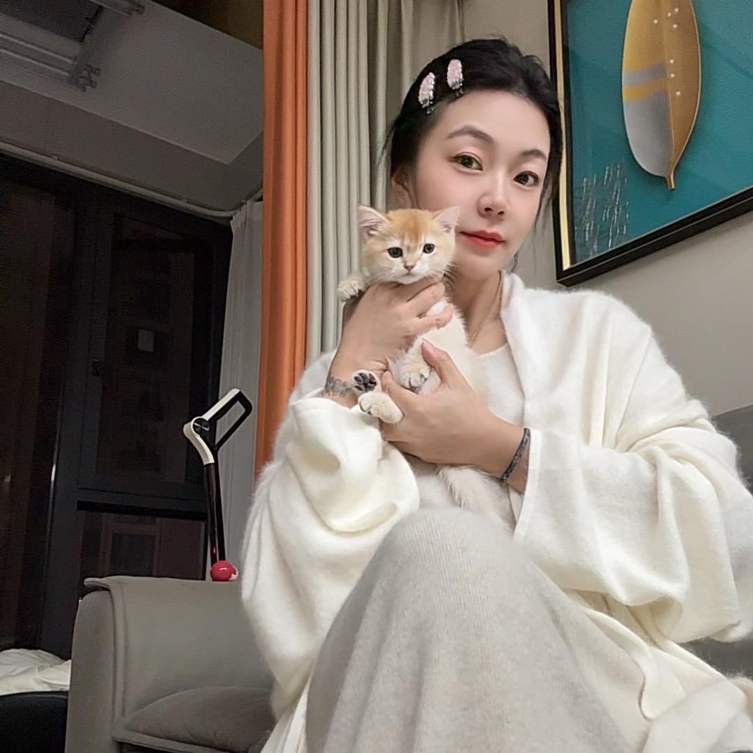 是思思吖🐈