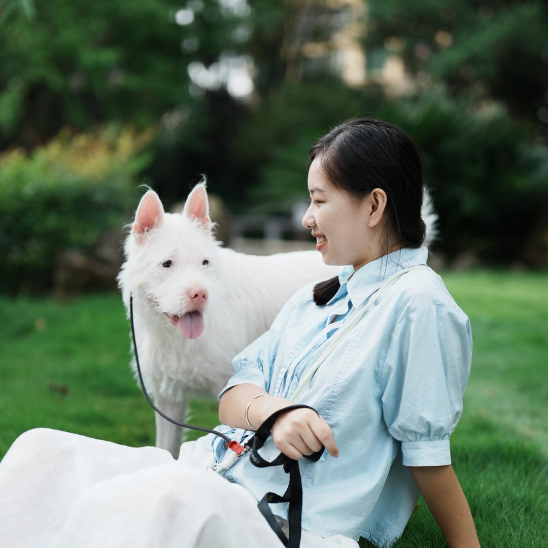 网友小郑