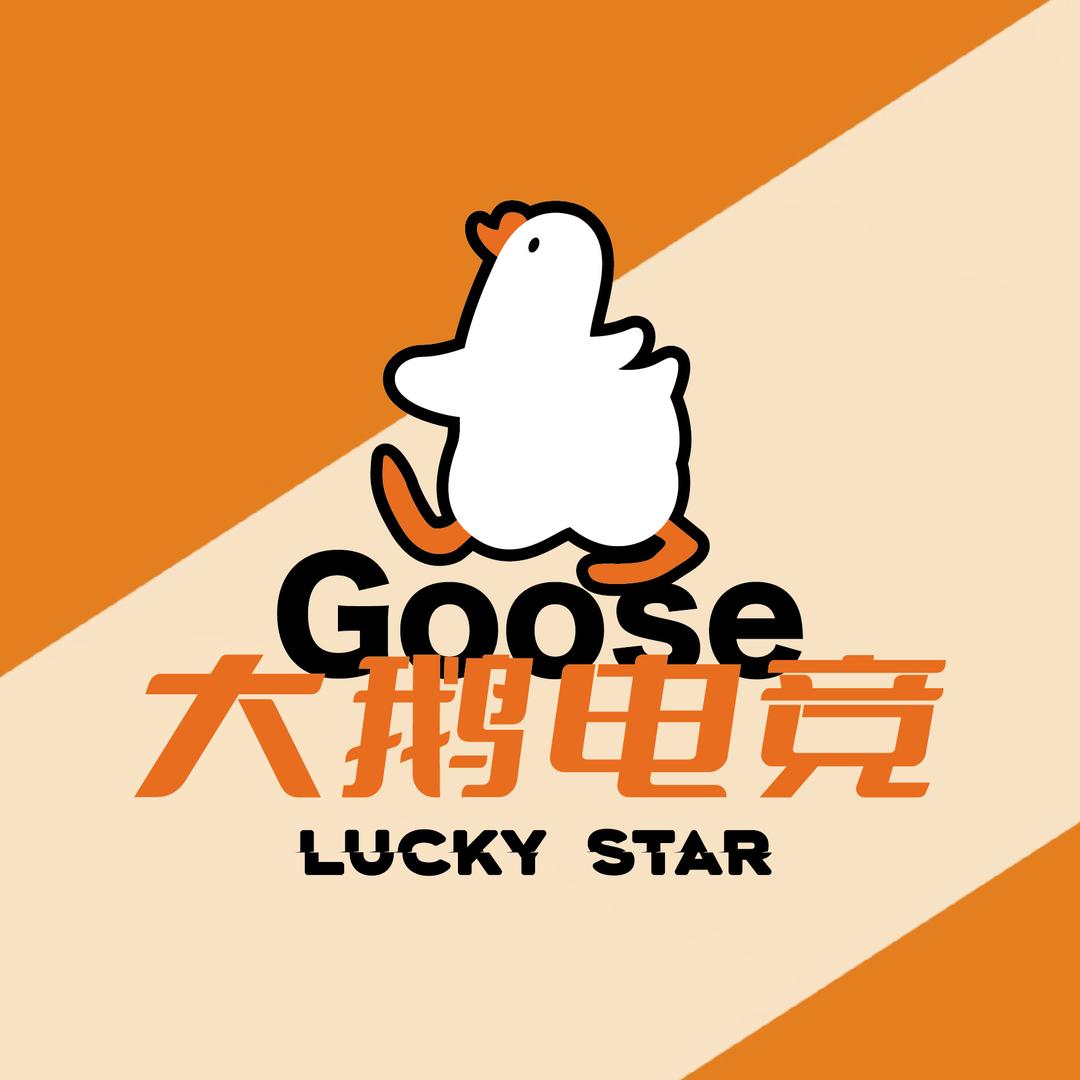 大鹅电竞(龙溪湾店)官方号
