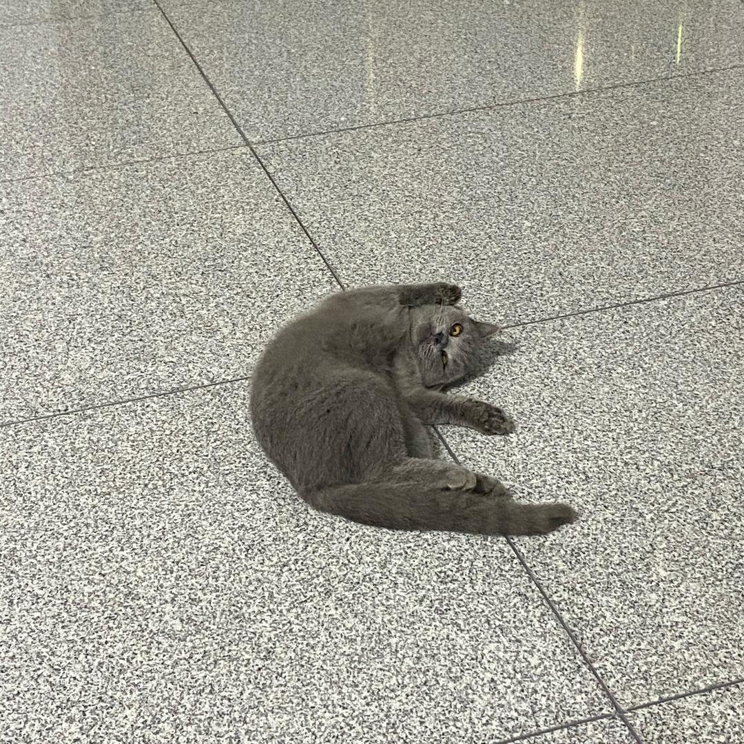 蔡先生