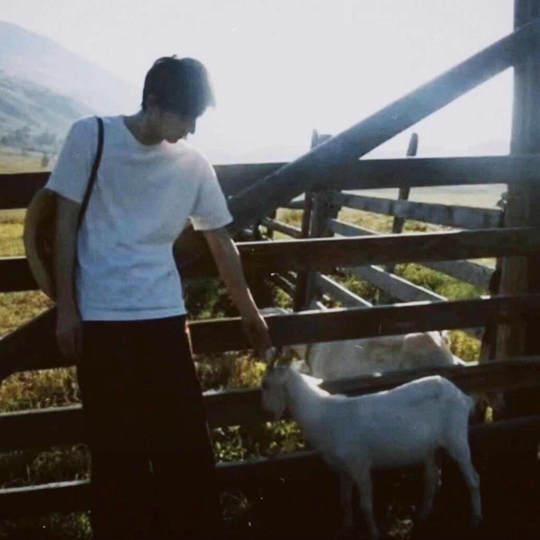 🐏