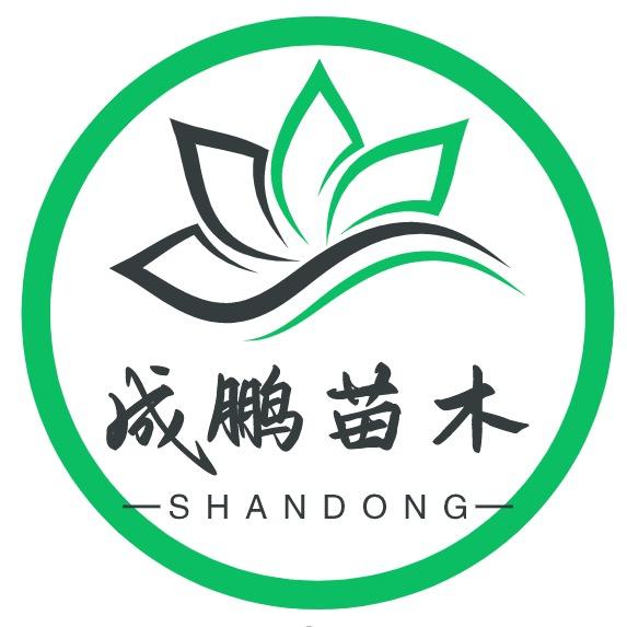 MDNG山东成鹏果树苗木专卖店