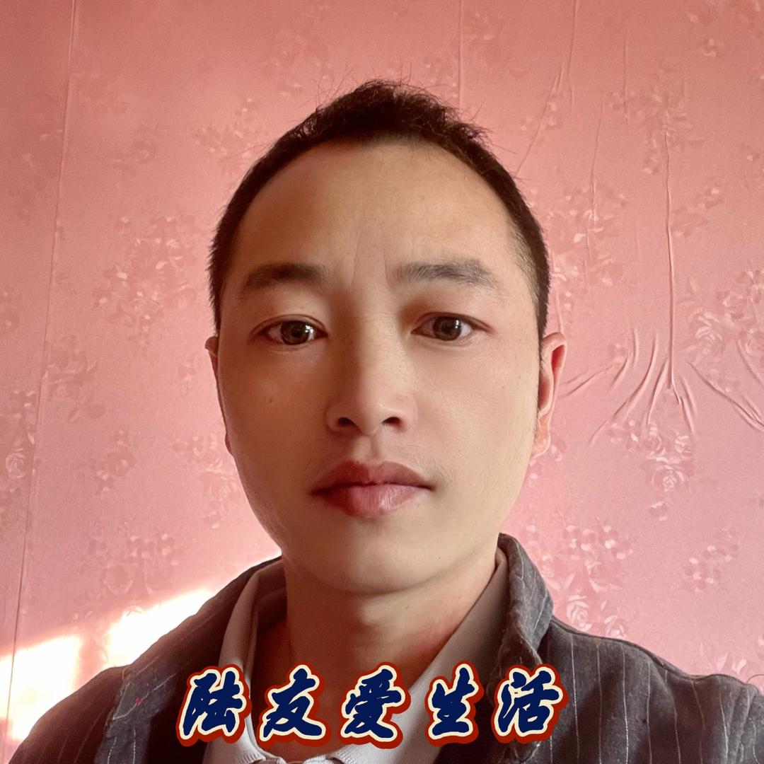 陆友（农村生活）