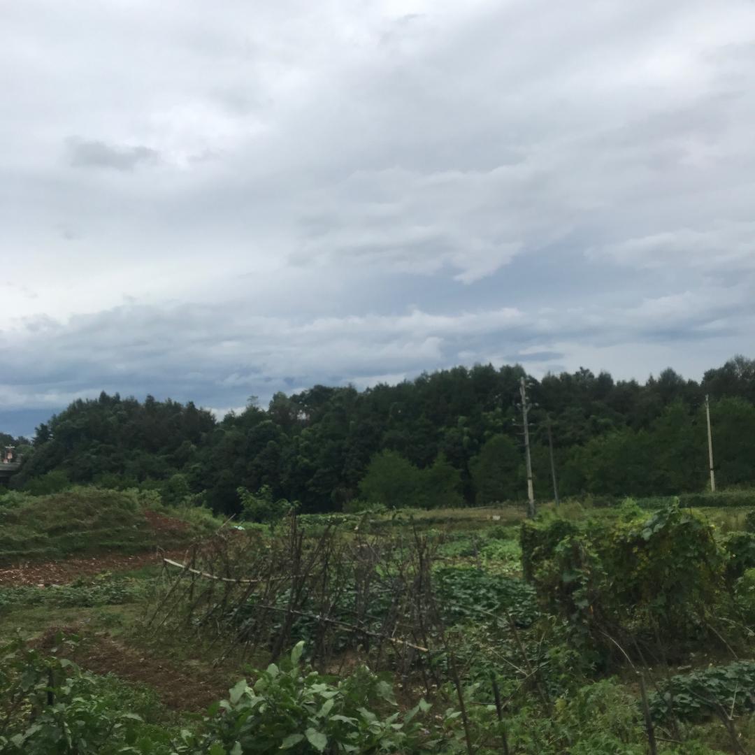 老钱