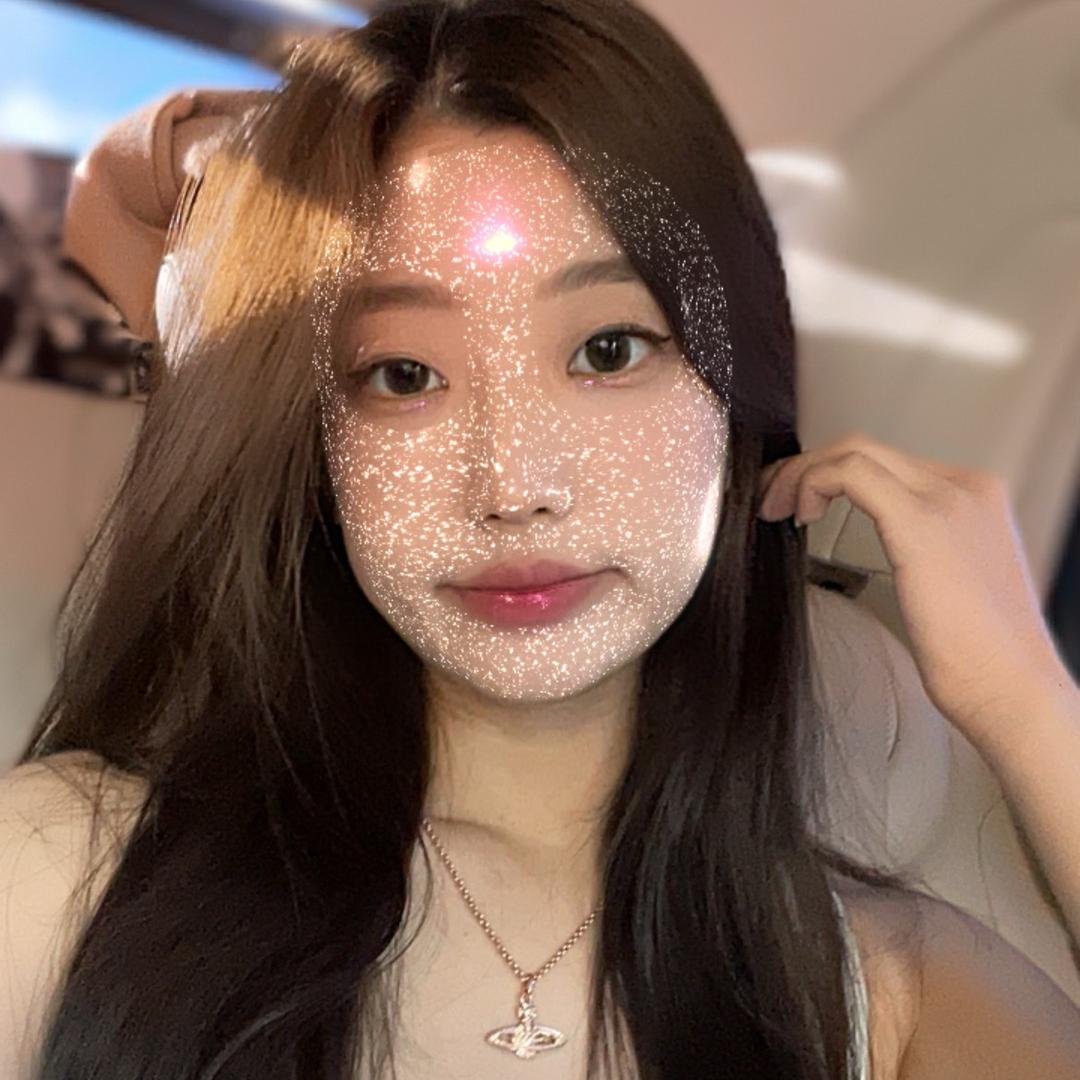 一只美美