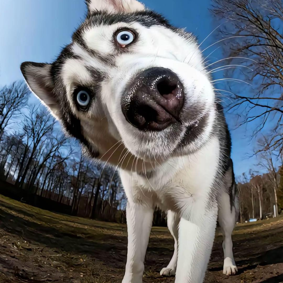 如果༄༅我说如果🌈