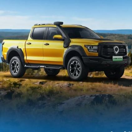 青海青旺-青海青祥皮卡