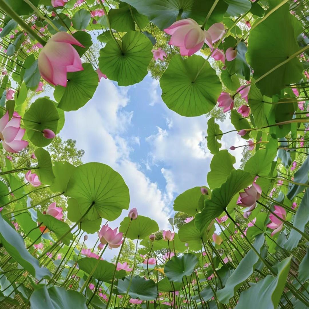 缘起我在人群中看见你