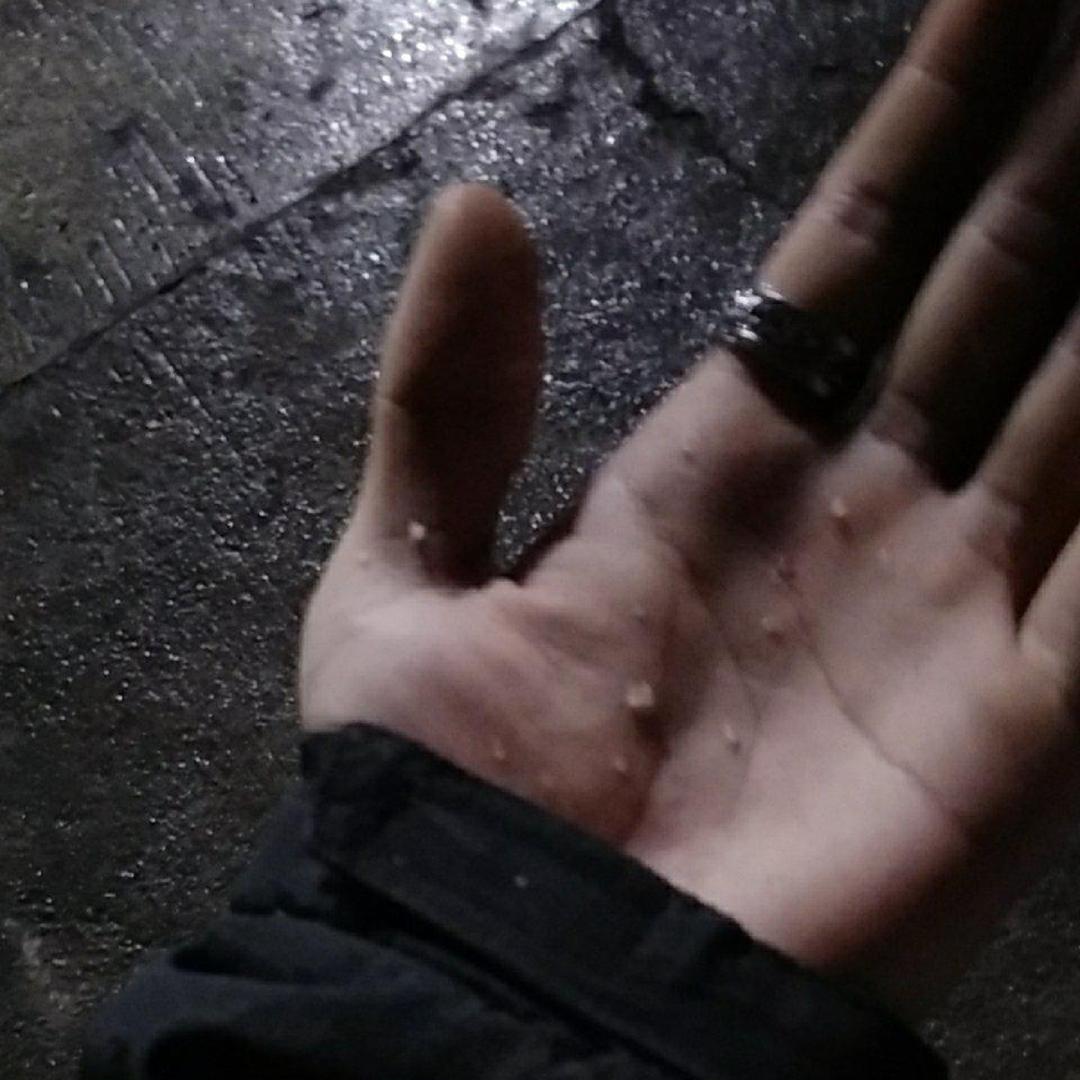 莫尼白的黑