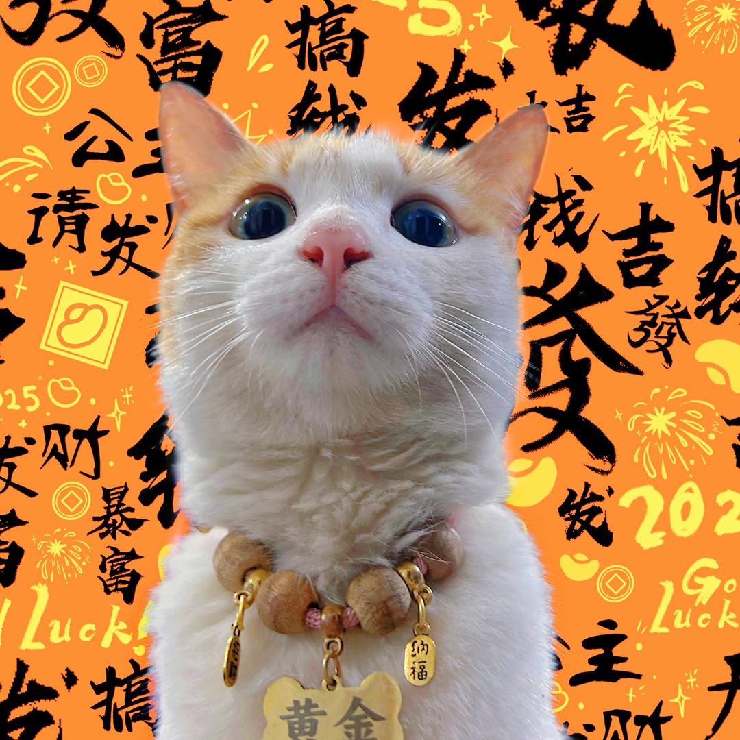 广州鸿发车业