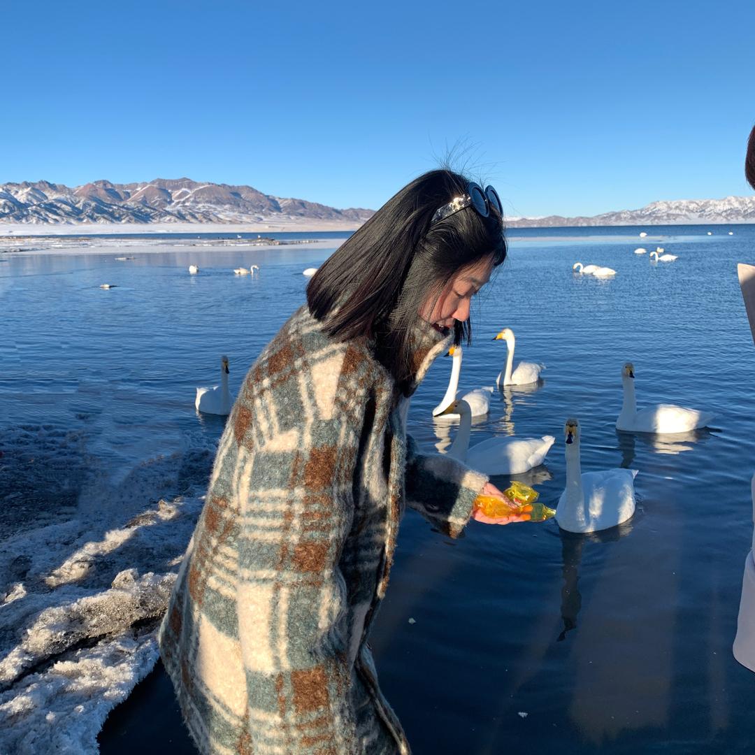 万万崽(孕早期)