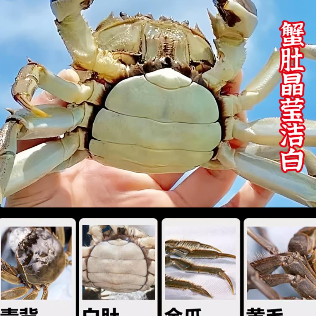精选生鲜好货店