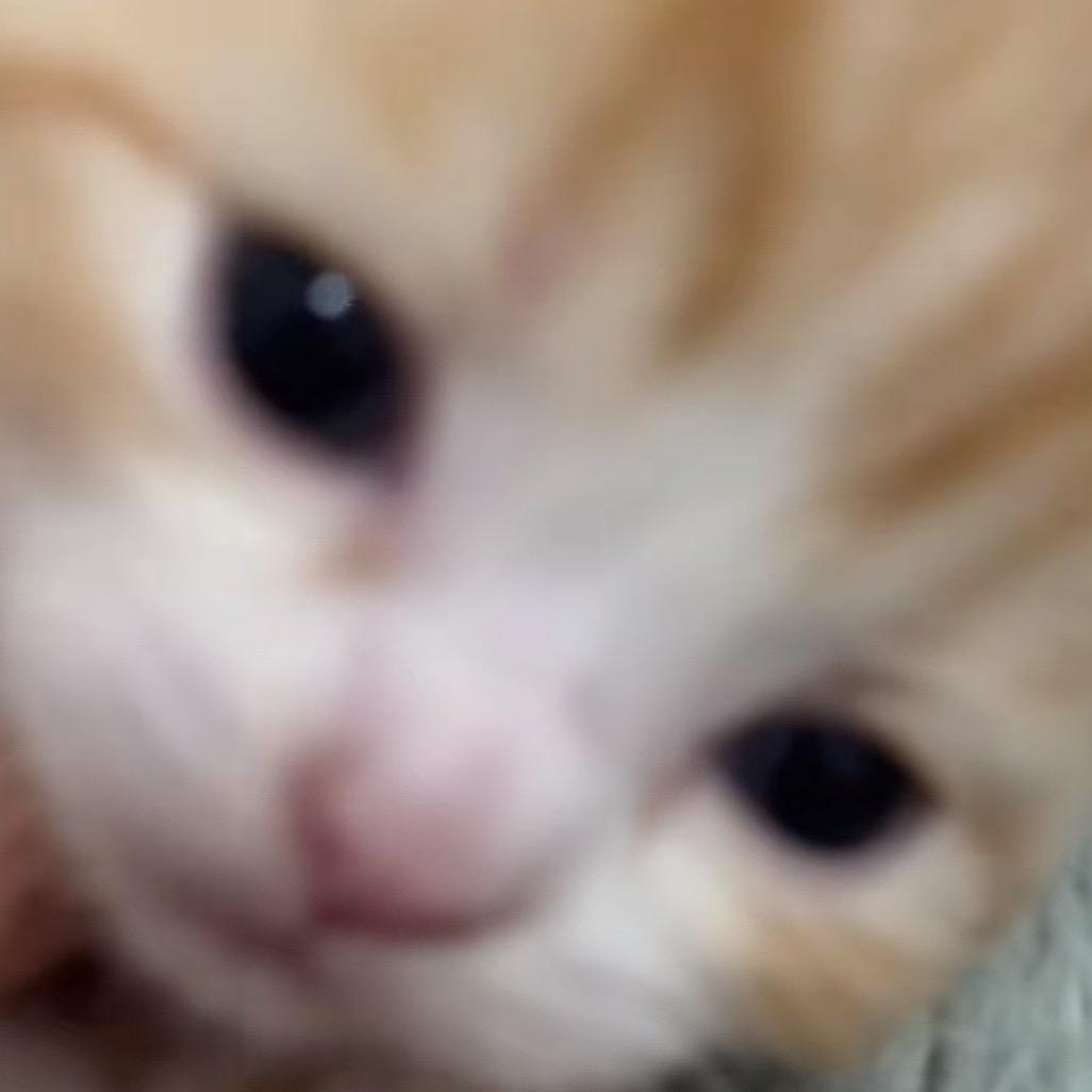 Yves🧑🏻‍🦯‍➡️