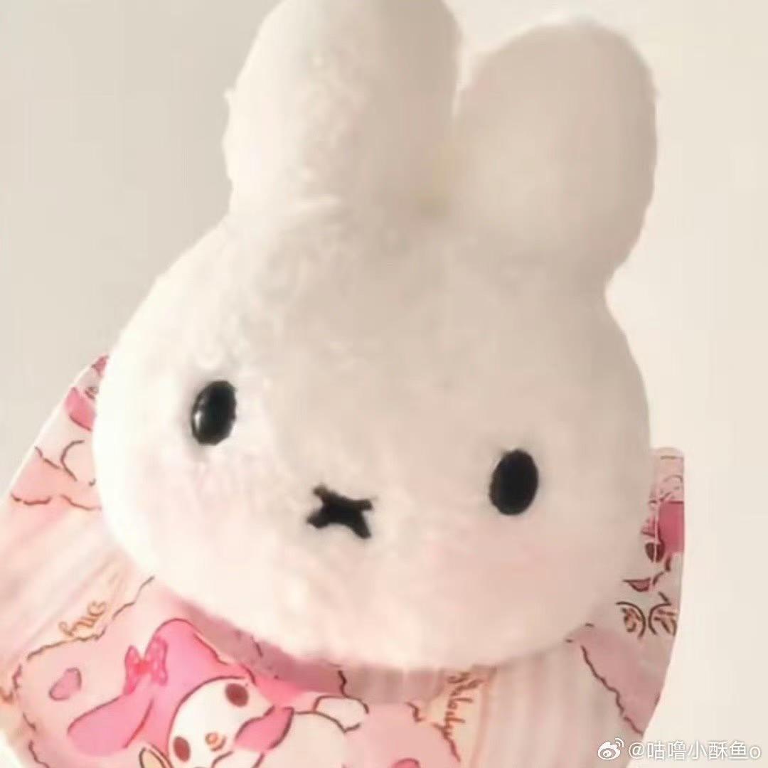 野生打工人