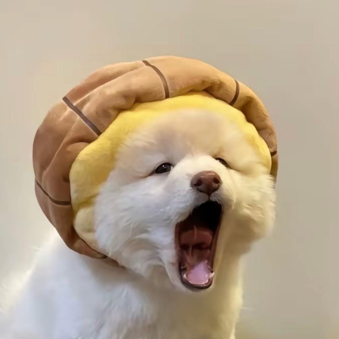 贤贤