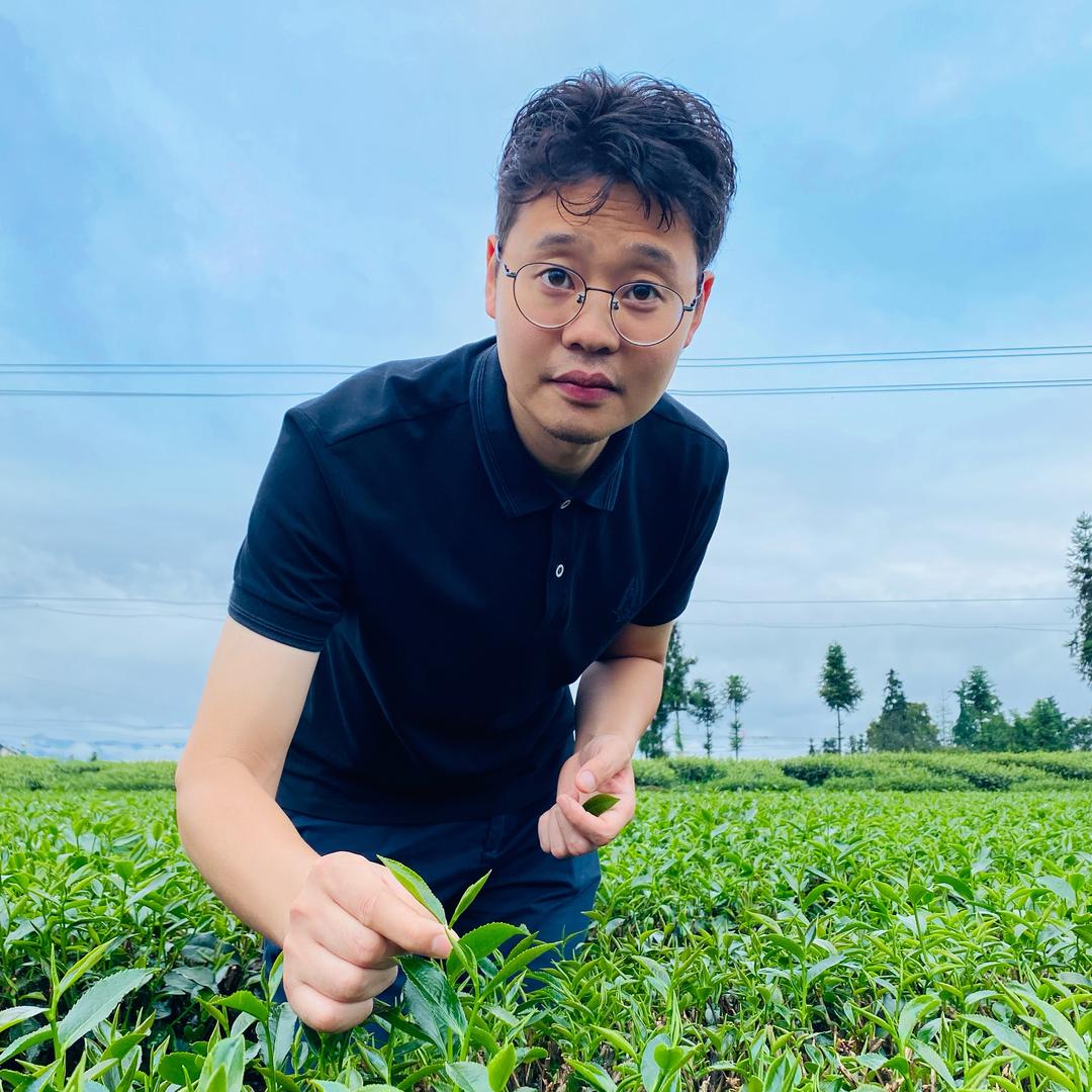 如芽茶叶旗舰店