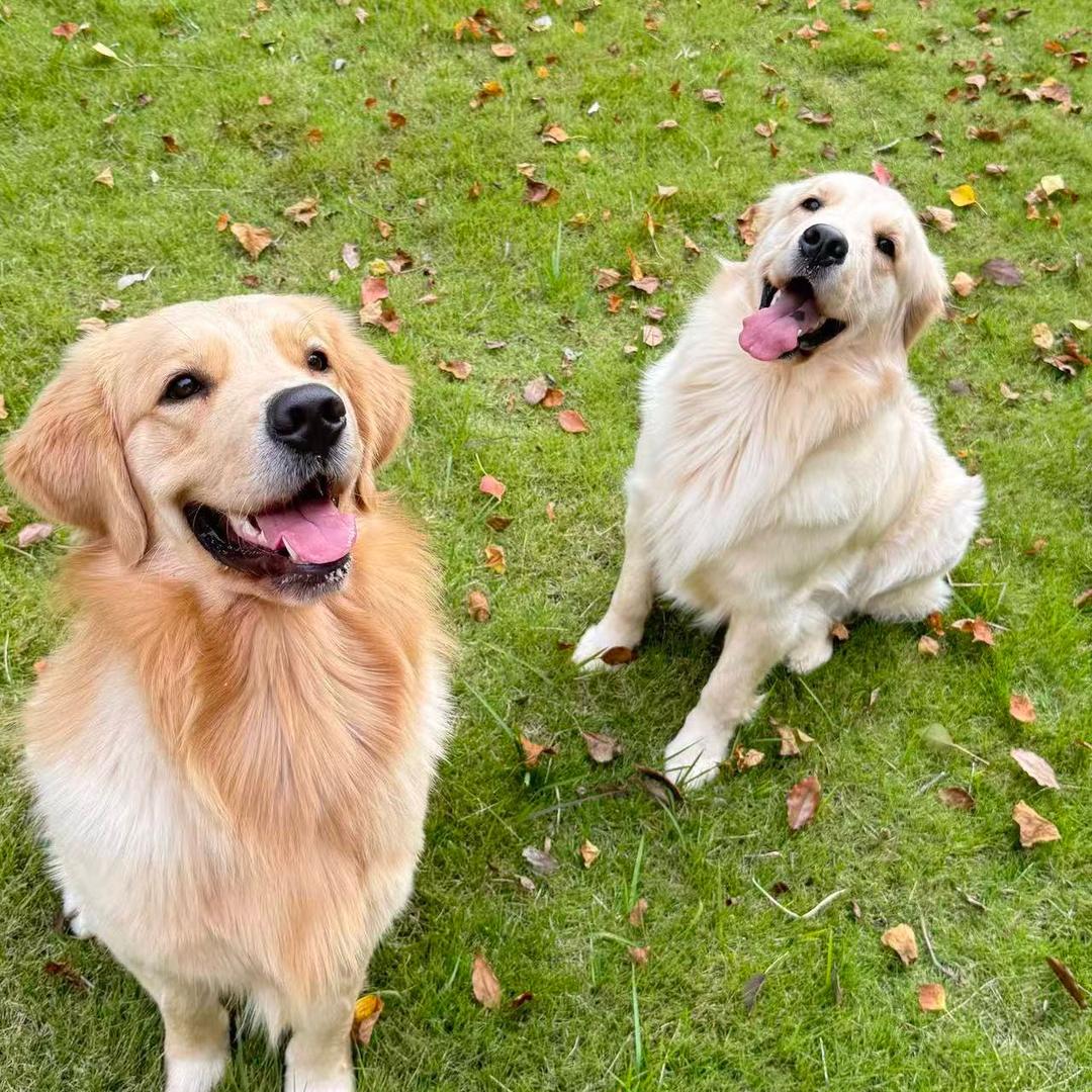 贪吃财和爱玩卷