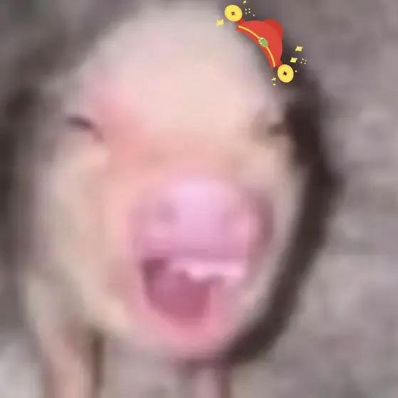 臭屁Bking🥥（pyq亲口生快版）