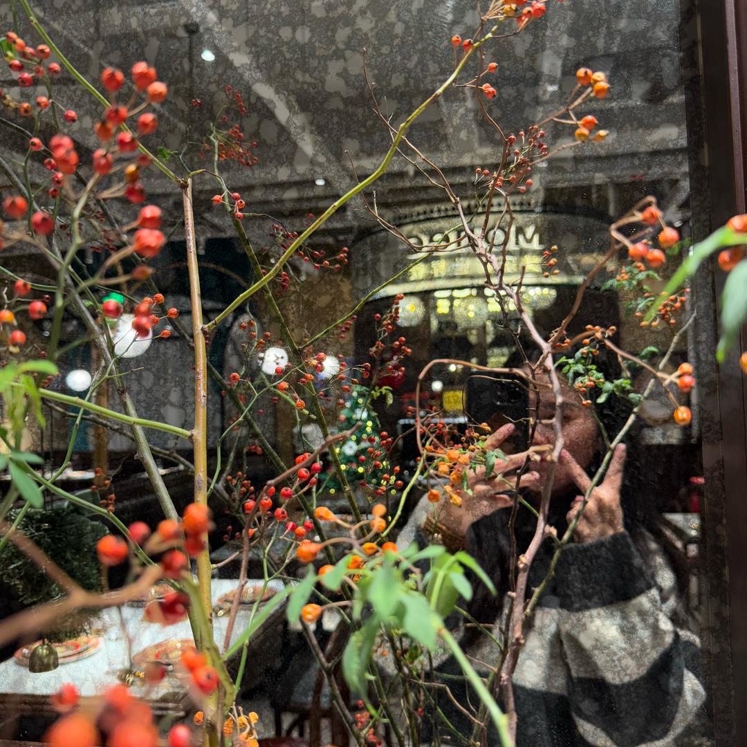 Bree🧚‍♀️彭彭不是盆