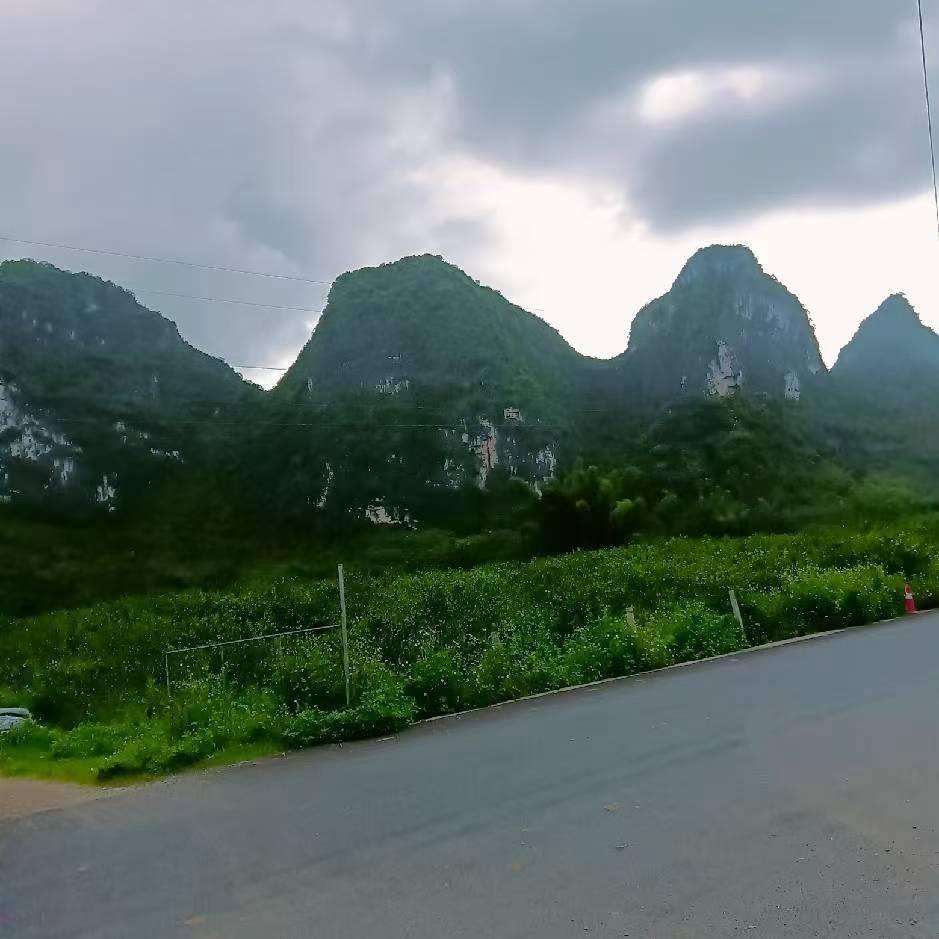 广西呗农生鲜