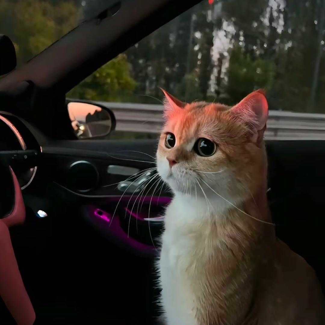 梦南·（创业版