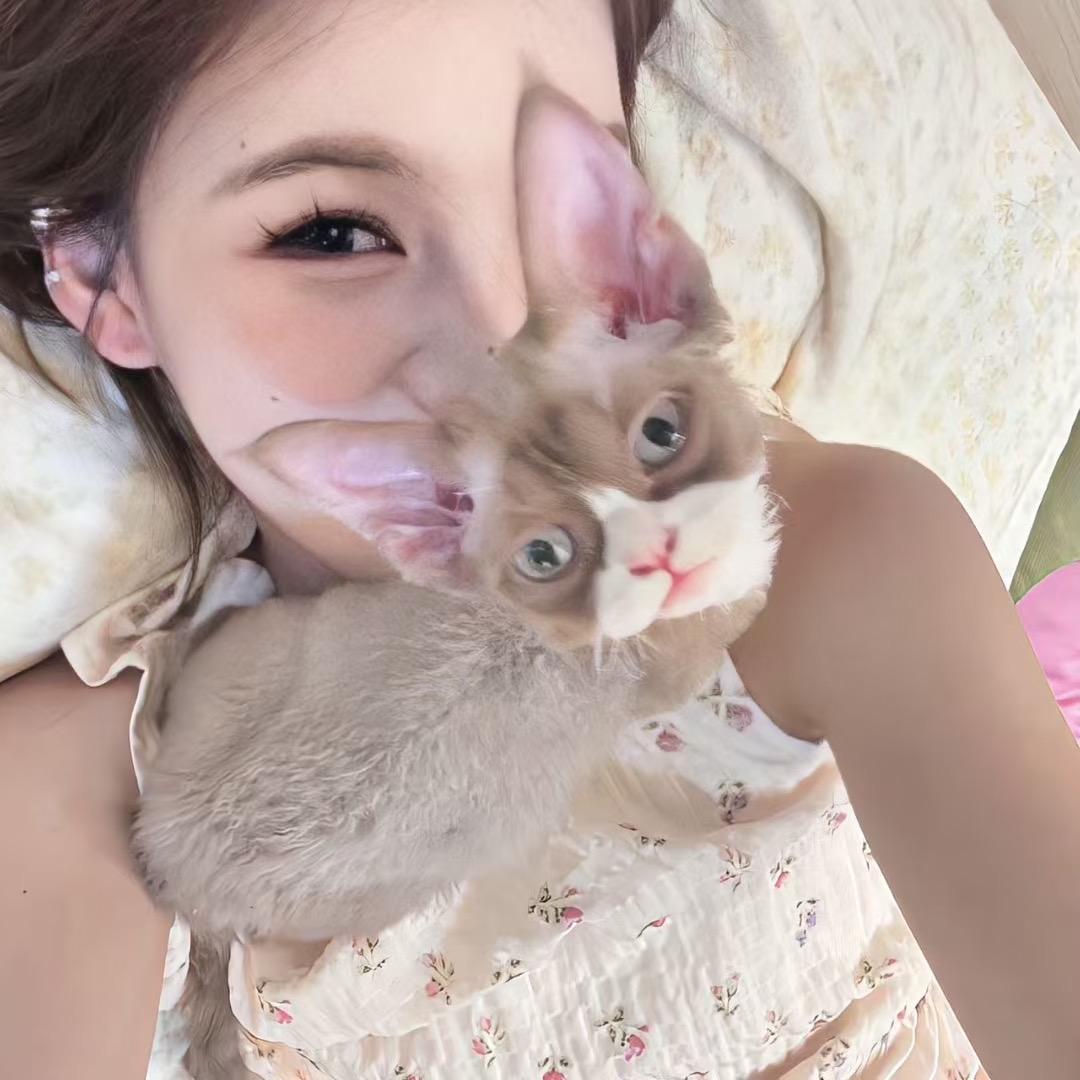 比比