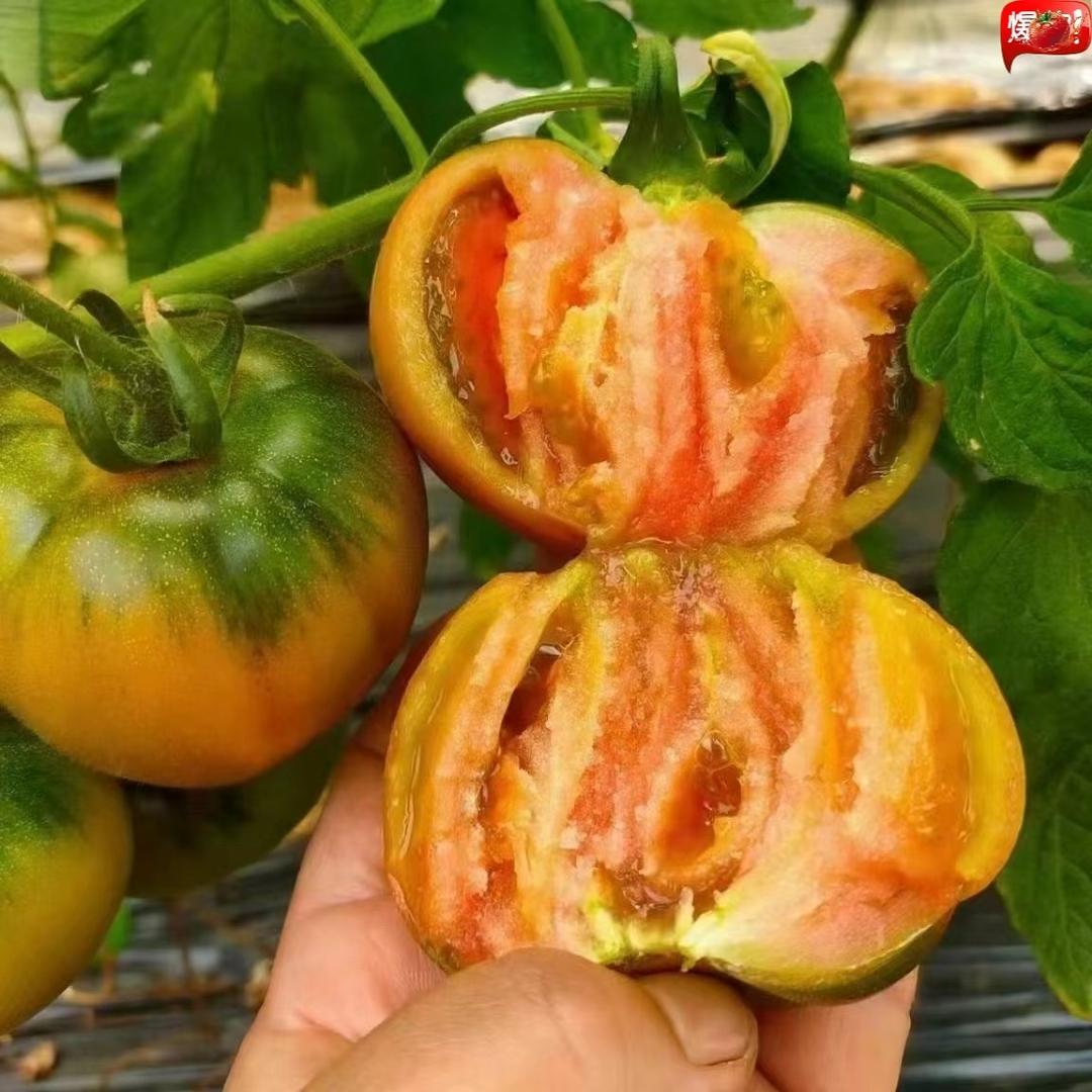 王百乔盘锦正宗盐碱地柿子精品店