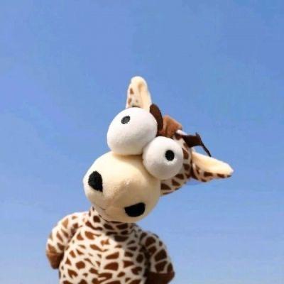 说了再见
