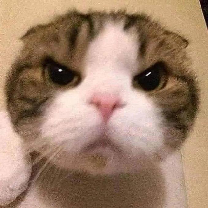 睡觉的时候不困