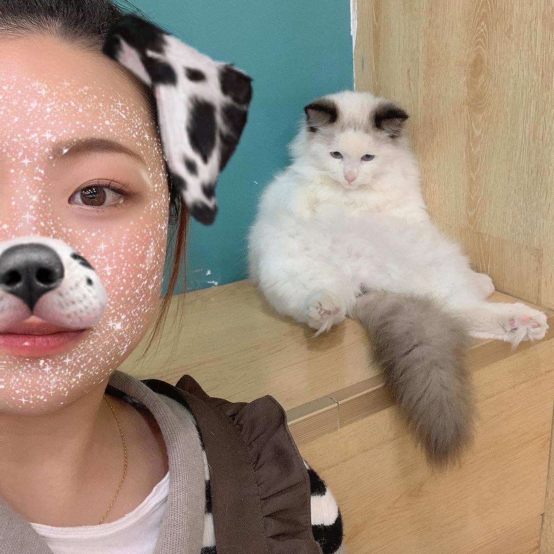 小王不迷茫