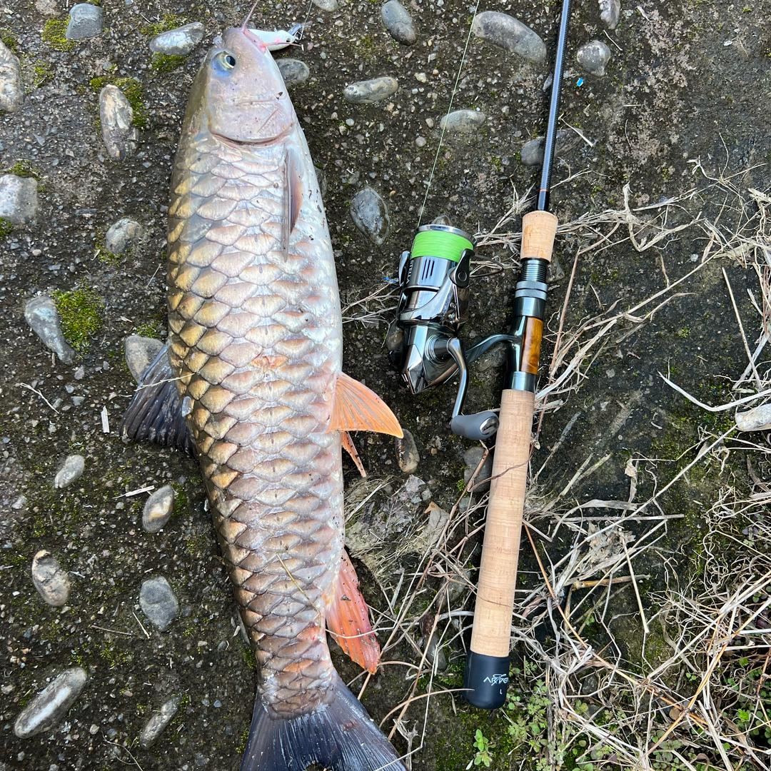599!🎣