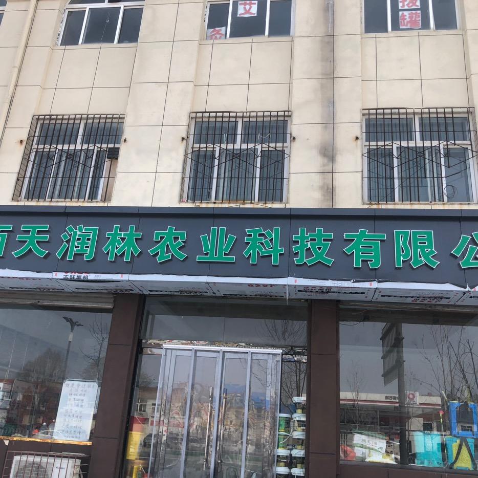 雨中的雪