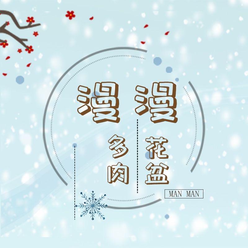 漫漫多肉花盆