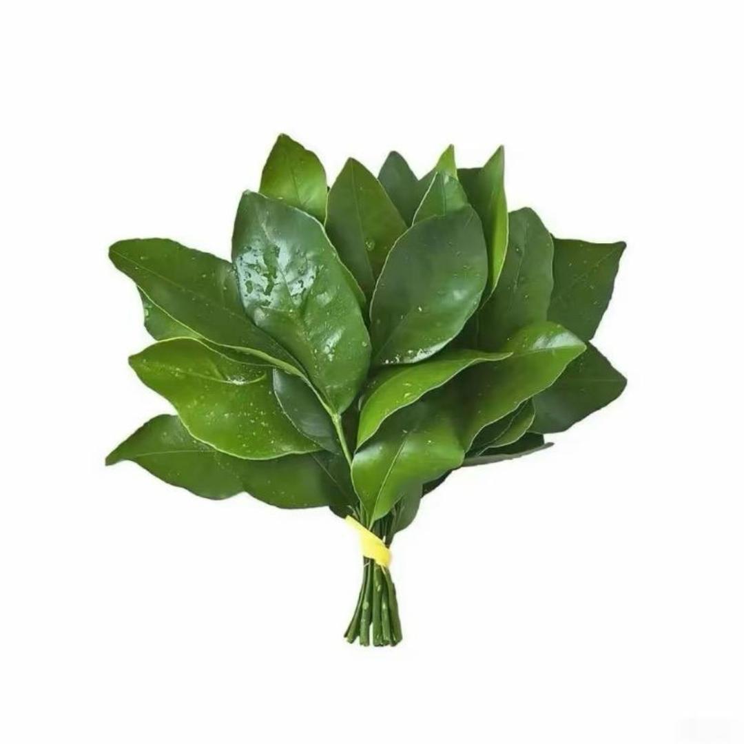 八宝