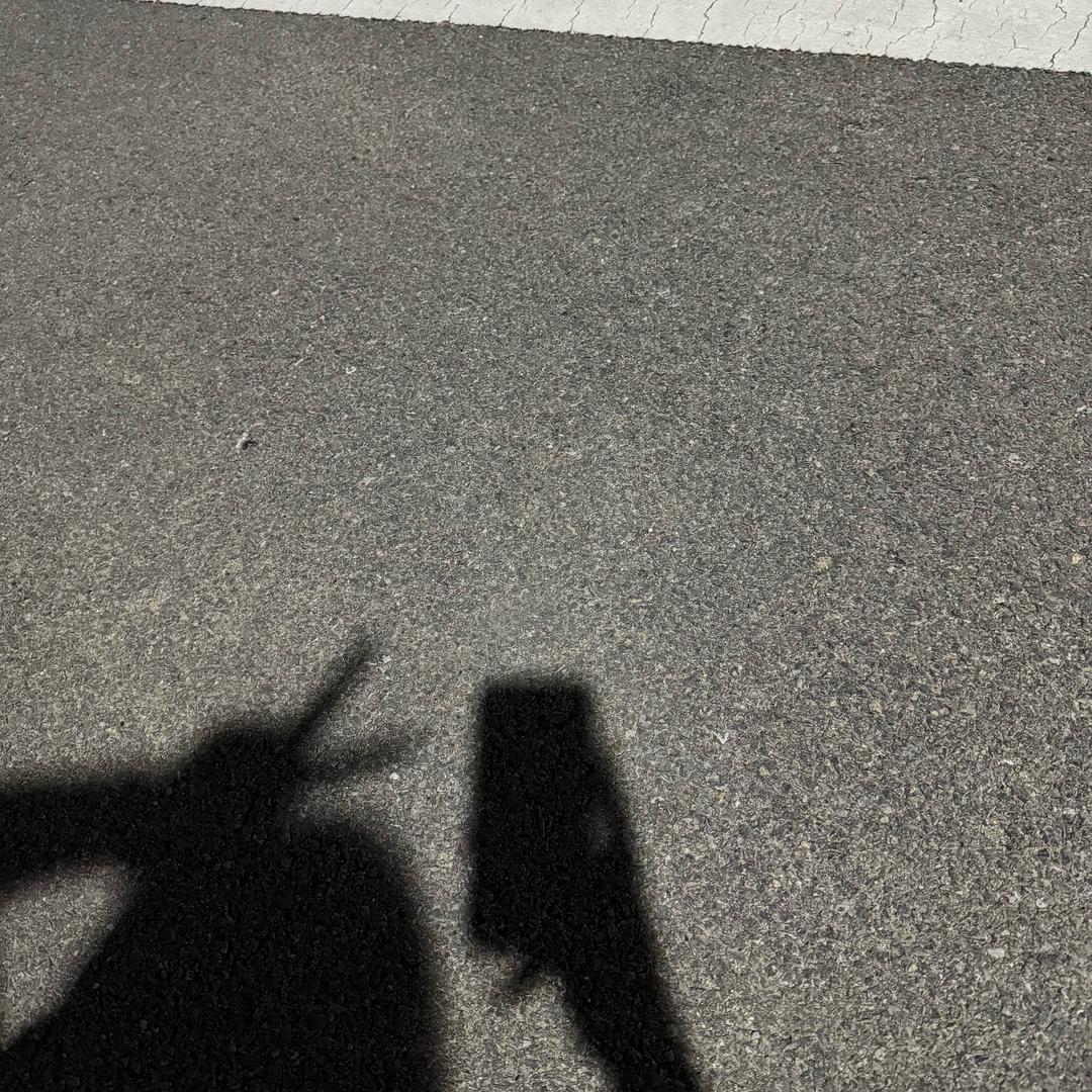 耿能能✨