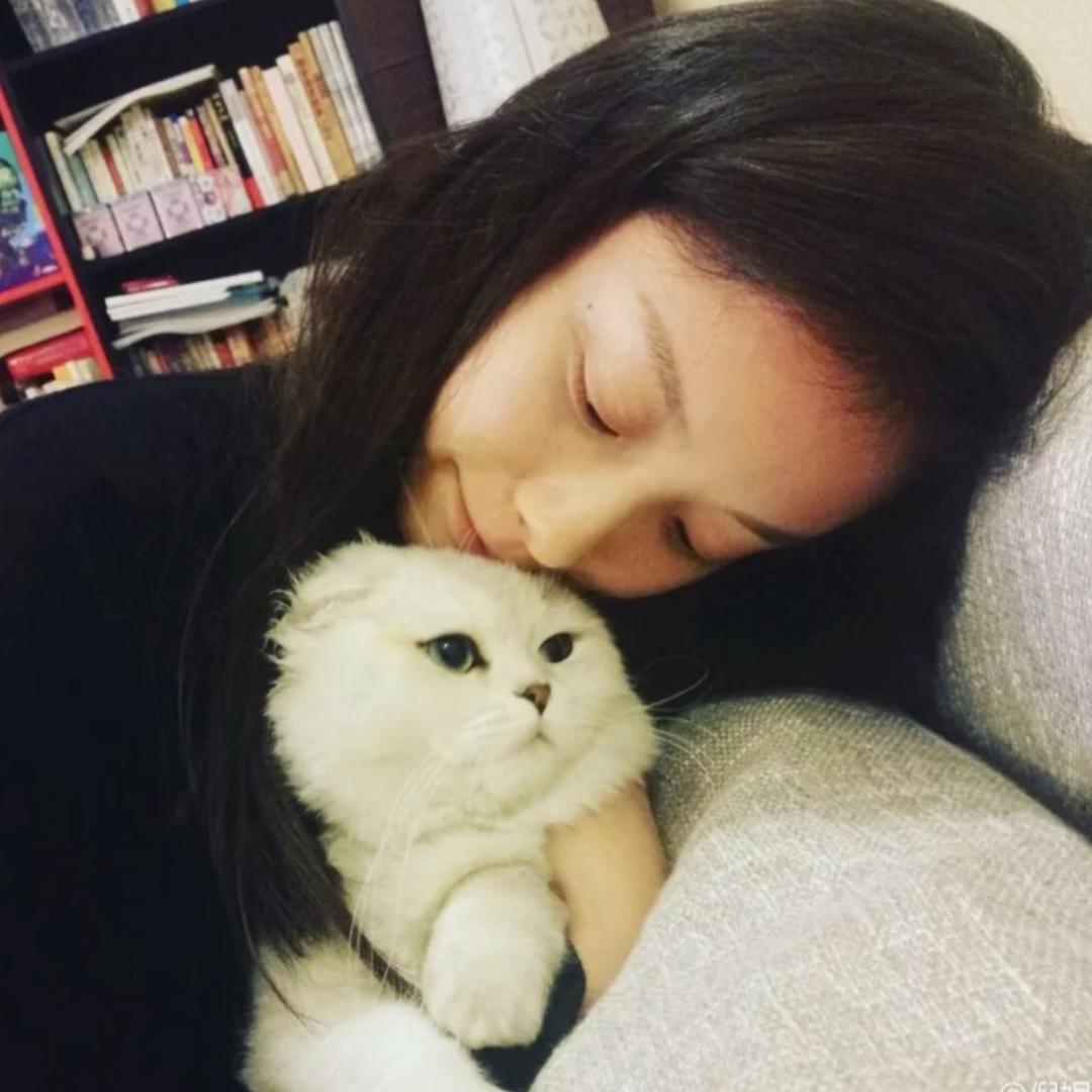哦耶