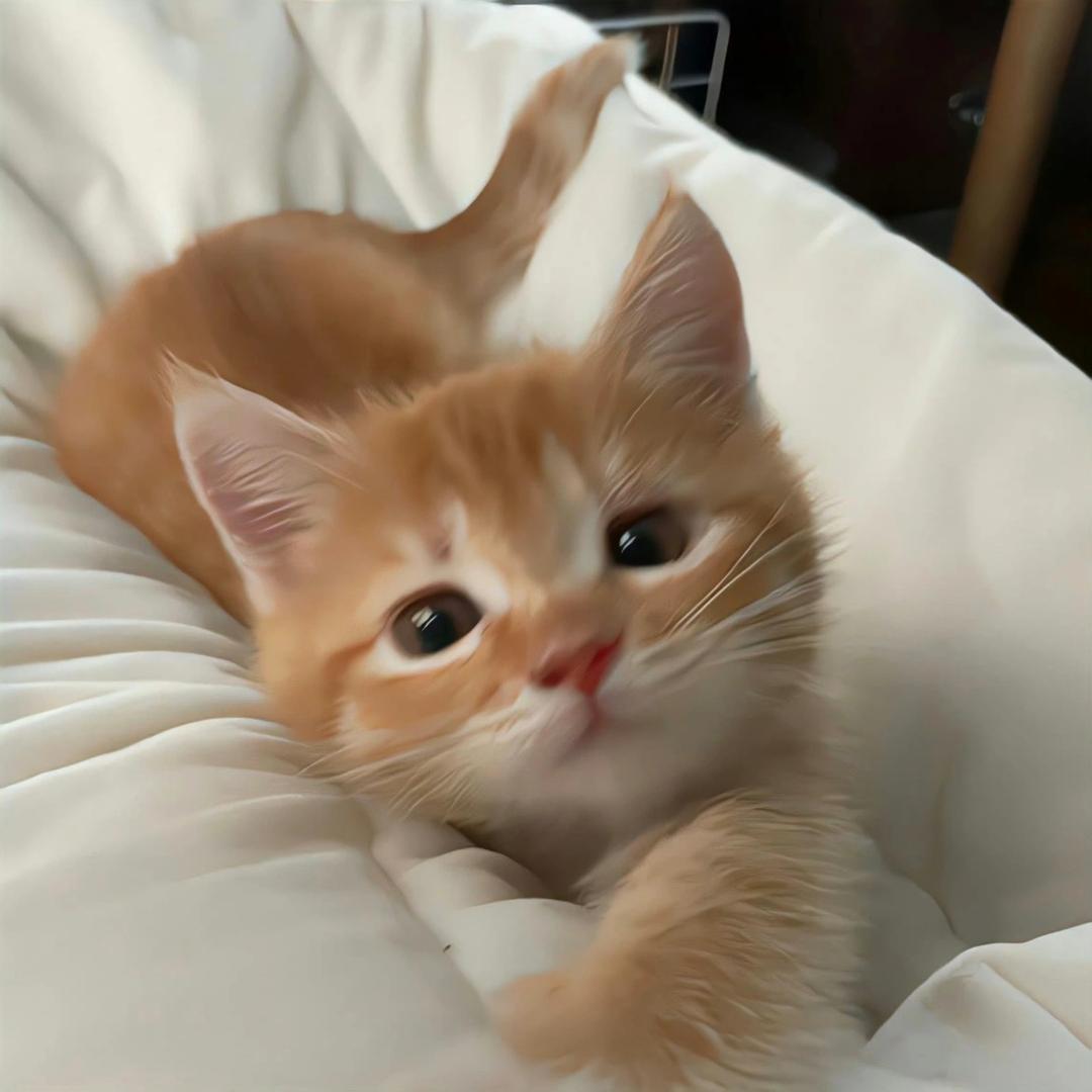 RuRu
