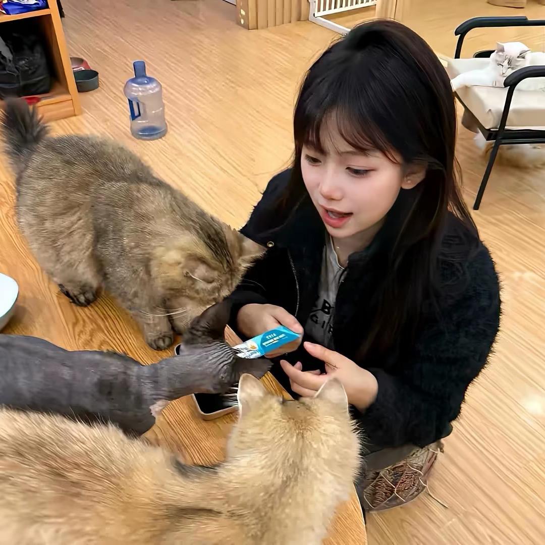 小胡狸（鸣潮）