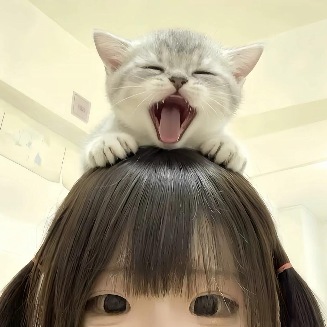 1⃣️